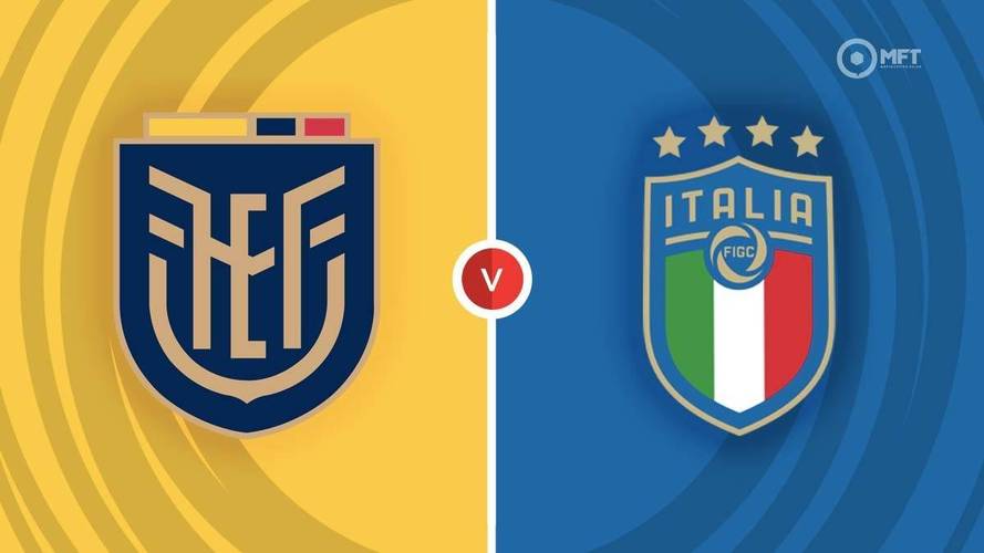 意大利vs